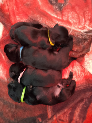 Bounty des terres d'iroise